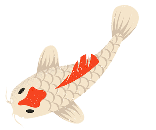 POISSON bas